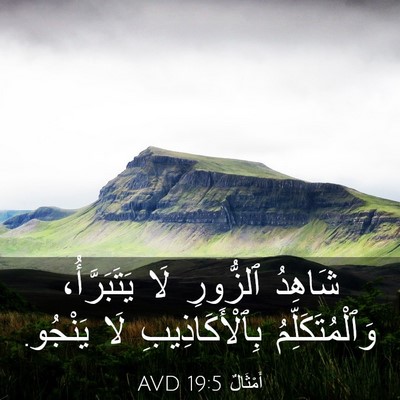 Picture 03 - أَمْثَالٌ 19:5 AVD - شَاهِدُ ٱلزُّورِ لَا - Bible Verse Picture