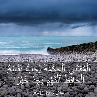 Picture 03 - أَمْثَالٌ 19:8 AVD - اَلْمُقْتَنِي ٱلْحِكْمَةَ - Bible Verse Picture