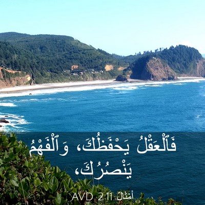 Picture 03 - أَمْثَالٌ 2:11 AVD - فَٱلْعَقْلُ يَحْفَظُكَ، - Bible Verse Picture