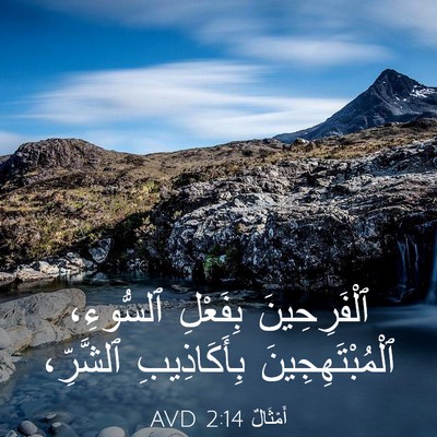 Picture 03 - أَمْثَالٌ 2:14 AVD - ٱلْفَرِحِينَ بِفَعْلِ - Bible Verse Picture