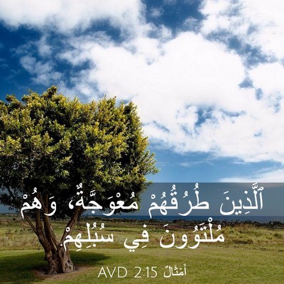 Picture 03 - أَمْثَالٌ 2:15 AVD - ٱلَّذِينَ طُرُقُهُمْ - Bible Verse Picture