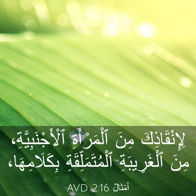 Picture 03 - أَمْثَالٌ 2:16 AVD - لِإِنْقَاذِكَ مِنَ - Bible Verse Picture