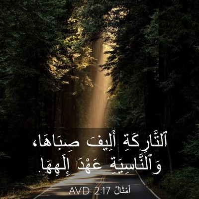 Picture 03 - أَمْثَالٌ 2:17 AVD - ٱلتَّارِكَةِ أَلِيفَ - Bible Verse Picture