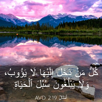 Picture 03 - أَمْثَالٌ 2:19 AVD - كُلُّ مَنْ دَخَلَ - Bible Verse Picture