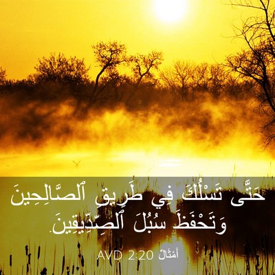 Picture 03 - أَمْثَالٌ 2:20 AVD - حَتَّى تَسْلُكَ فِي - Bible Verse Picture