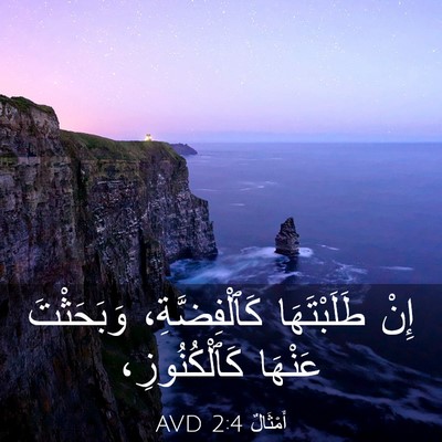 Picture 03 - أَمْثَالٌ 2:4 AVD - إِنْ طَلَبْتَهَا - Bible Verse Picture