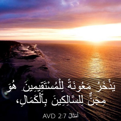 Picture 03 - أَمْثَالٌ 2:7 AVD - يَذْخَرُ مَعُونَةً - Bible Verse Picture