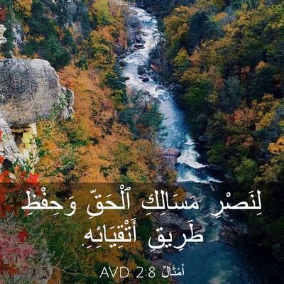 Picture 03 - أَمْثَالٌ 2:8 AVD - لِنَصْرِ مَسَالِكِ - Bible Verse Picture