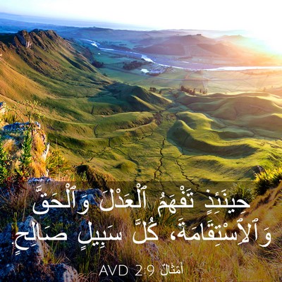 Picture 03 - أَمْثَالٌ 2:9 AVD - حِينَئِذٍ تَفْهَمُ - Bible Verse Picture
