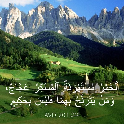 Picture 03 - أَمْثَالٌ 20:1 AVD - اَلْخَمْرُ - Bible Verse Picture