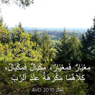 Picture 03 - أَمْثَالٌ 20:10 AVD - مِعْيَارٌ فَمِعْيَارٌ، - Bible Verse Picture