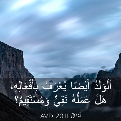 Picture 03 - أَمْثَالٌ 20:11 AVD - اَلْوَلَدُ أَيْضًا - Bible Verse Picture