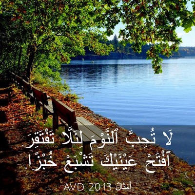 Picture 03 - أَمْثَالٌ 20:13 AVD - لَا تُحِبَّ ٱلنَّوْمَ - Bible Verse Picture