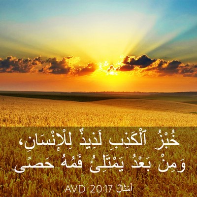 Picture 03 - أَمْثَالٌ 20:17 AVD - خُبْزُ ٱلْكَذِبِ لَذِيذٌ - Bible Verse Picture