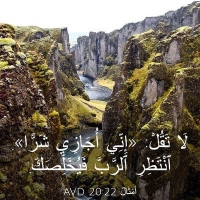 Picture 03 - أَمْثَالٌ 20:22 AVD - لَا تَقُلْ: «إِنِّي - Bible Verse Picture