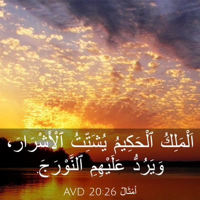 Picture 03 - أَمْثَالٌ 20:26 AVD - اَلْمَلِكُ ٱلْحَكِيمُ - Bible Verse Picture