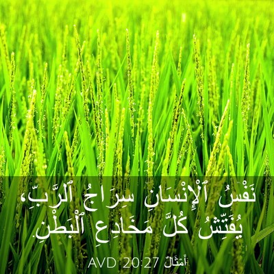 Picture 03 - أَمْثَالٌ 20:27 AVD - نَفْسُ ٱلْإِنْسَانِ - Bible Verse Picture