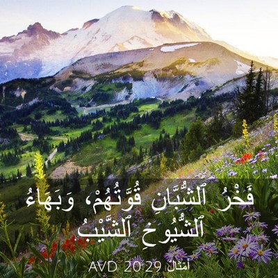 Picture 03 - أَمْثَالٌ 20:29 AVD - فَخْرُ ٱلشُّبَّانِ - Bible Verse Picture