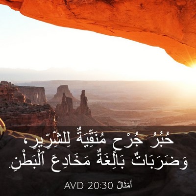 Picture 03 - أَمْثَالٌ 20:30 AVD - حُبُرُ جُرْحٍ مُنَقِّيَةٌ - Bible Verse Picture