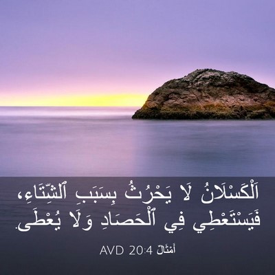 Picture 03 - أَمْثَالٌ 20:4 AVD - اَلْكَسْلَانُ لَا - Bible Verse Picture
