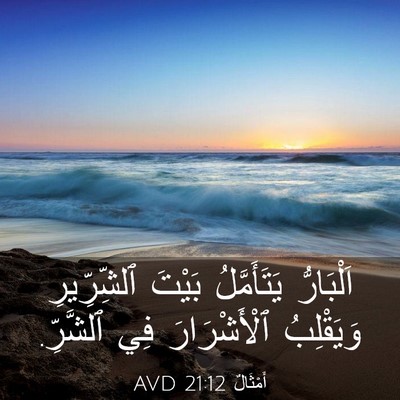 Picture 03 - أَمْثَالٌ 21:12 AVD - اَلْبَارُّ يَتَأَمَّلُ - Bible Verse Picture