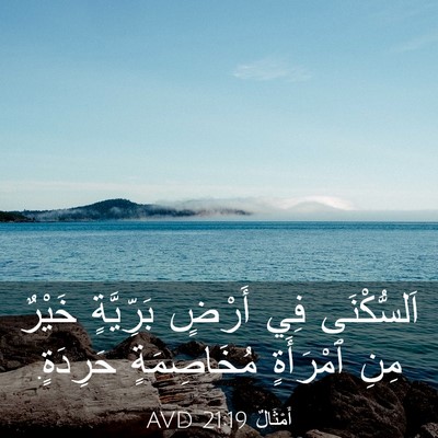 Picture 03 - أَمْثَالٌ 21:19 AVD - اَلسُّكْنَى فِي أَرْضٍ - Bible Verse Picture