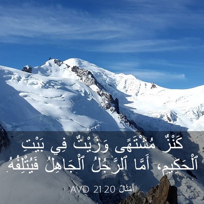 Picture 03 - أَمْثَالٌ 21:20 AVD - كَنْزٌ مُشْتَهًى وَزَيْتٌ - Bible Verse Picture
