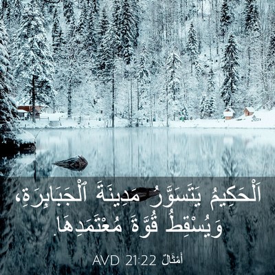 Picture 03 - أَمْثَالٌ 21:22 AVD - اَلْحَكِيمُ يَتَسَوَّرُ - Bible Verse Picture
