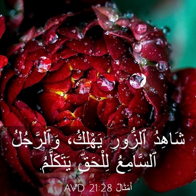 Picture 03 - أَمْثَالٌ 21:28 AVD - شَاهِدُ ٱلزُّورِ - Bible Verse Picture