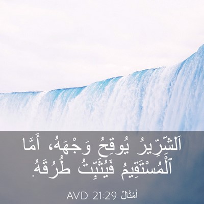 Picture 03 - أَمْثَالٌ 21:29 AVD - اَلشِّرِّيرُ يُوقِحُ - Bible Verse Picture