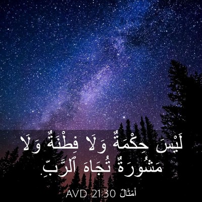 Picture 03 - أَمْثَالٌ 21:30 AVD - لَيْسَ حِكْمَةٌ وَلَا - Bible Verse Picture