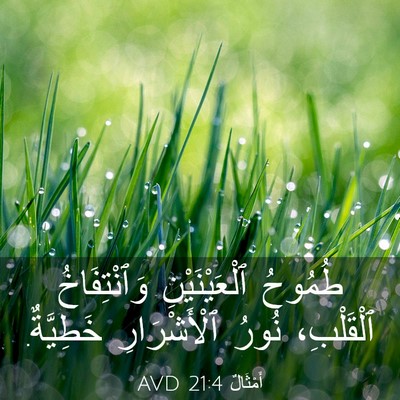 Picture 03 - أَمْثَالٌ 21:4 AVD - طُمُوحُ ٱلْعَيْنَيْنِ - Bible Verse Picture