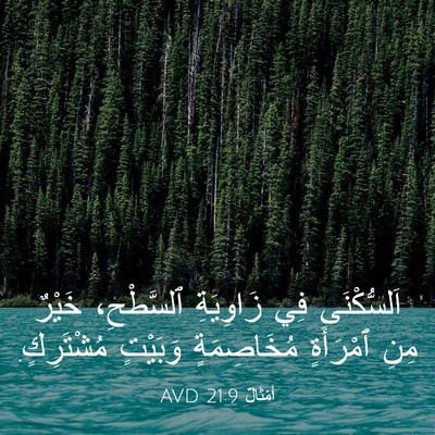 Picture 03 - أَمْثَالٌ 21:9 AVD - اَلسُّكْنَى فِي زَاوِيَةِ - Bible Verse Picture
