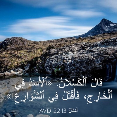 Picture 03 - أَمْثَالٌ 22:13 AVD - قَالَ ٱلْكَسْلَانُ: - Bible Verse Picture
