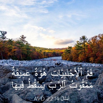 Picture 03 - أَمْثَالٌ 22:14 AVD - فَمُ ٱلْأَجْنَبِيَّاتِ - Bible Verse Picture