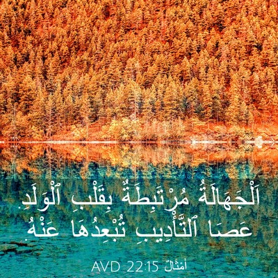 Picture 03 - أَمْثَالٌ 22:15 AVD - اَلْجَهَالَةُ - Bible Verse Picture