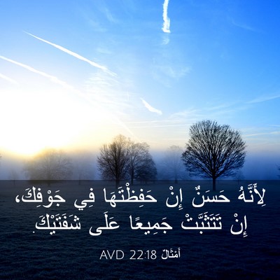 Picture 03 - أَمْثَالٌ 22:18 AVD - لِأَنَّهُ حَسَنٌ إِنْ - Bible Verse Picture