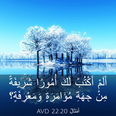 Picture 03 - أَمْثَالٌ 22:20 AVD - أَلَمْ أَكْتُبْ لَكَ - Bible Verse Picture