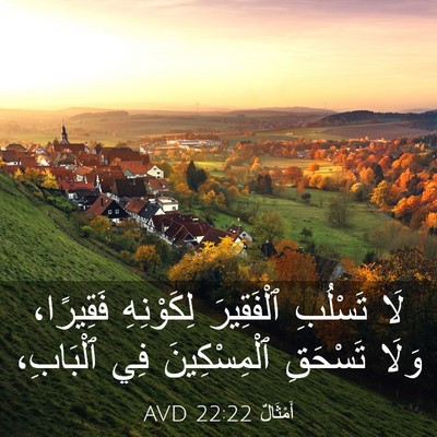 Picture 03 - أَمْثَالٌ 22:22 AVD - لَا تَسْلُبِ ٱلْفَقِيرَ - Bible Verse Picture