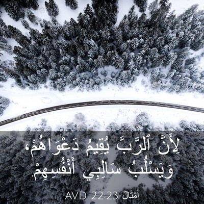 Picture 03 - أَمْثَالٌ 22:23 AVD - لِأَنَّ ٱلرَّبَّ يُقِيمُ - Bible Verse Picture