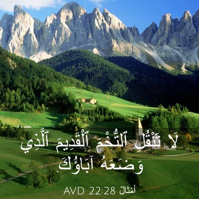 Picture 03 - أَمْثَالٌ 22:28 AVD - لَا تَنْقُلِ ٱلتُّخْمَ - Bible Verse Picture