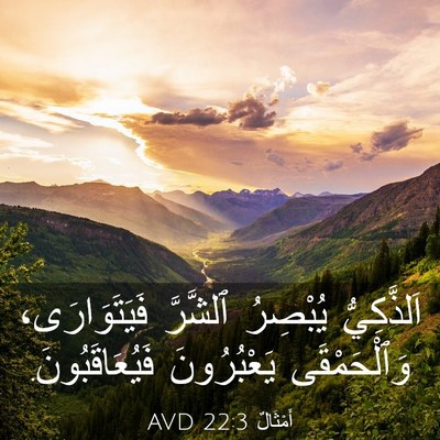 Picture 03 - أَمْثَالٌ 22:3 AVD - اَلذَّكِيُّ يُبْصِرُ - Bible Verse Picture