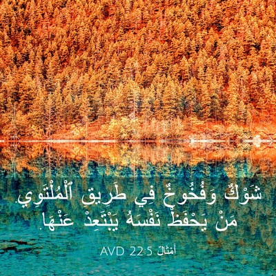 Picture 03 - أَمْثَالٌ 22:5 AVD - شَوْكٌ وَفُخُوخٌ فِي - Bible Verse Picture