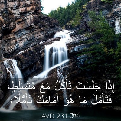 Picture 03 - أَمْثَالٌ 23:1 AVD - إِذَا جَلَسْتَ تَأْكُلُ - Bible Verse Picture