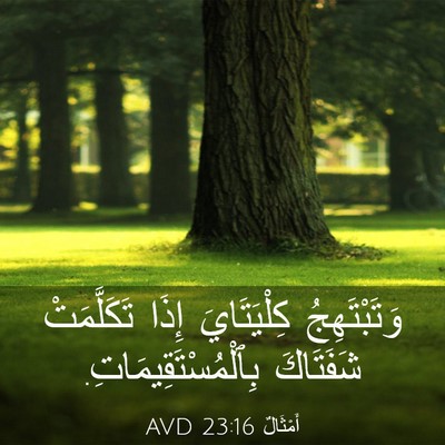 Picture 03 - أَمْثَالٌ 23:16 AVD - وَتَبْتَهِجُ كِلْيَتَايَ - Bible Verse Picture