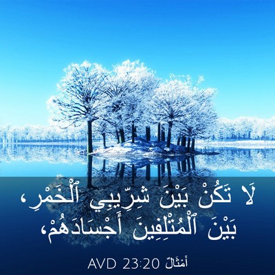 Picture 03 - أَمْثَالٌ 23:20 AVD - لَا تَكُنْ بَيْنَ - Bible Verse Picture