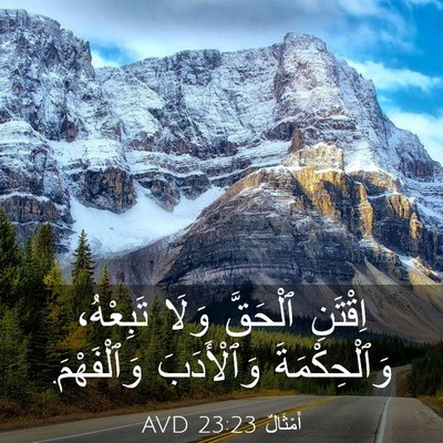 Picture 03 - أَمْثَالٌ 23:23 AVD - اِقْتَنِ ٱلْحَقَّ وَلَا - Bible Verse Picture