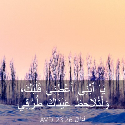 Picture 03 - أَمْثَالٌ 23:26 AVD - يَا ٱبْنِي أَعْطِنِي - Bible Verse Picture