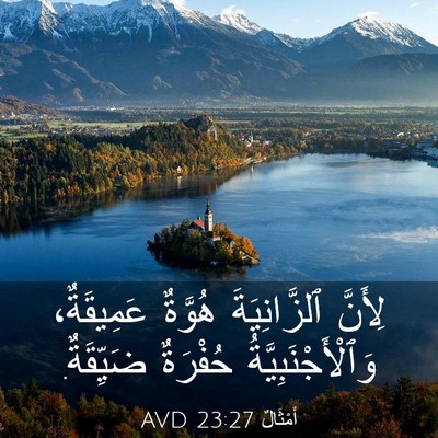 Picture 03 - أَمْثَالٌ 23:27 AVD - لِأَنَّ ٱلزَّانِيَةَ - Bible Verse Picture