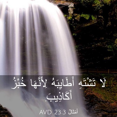 Picture 03 - أَمْثَالٌ 23:3 AVD - لَا تَشْتَهِ أَطَايِبَهُ - Bible Verse Picture